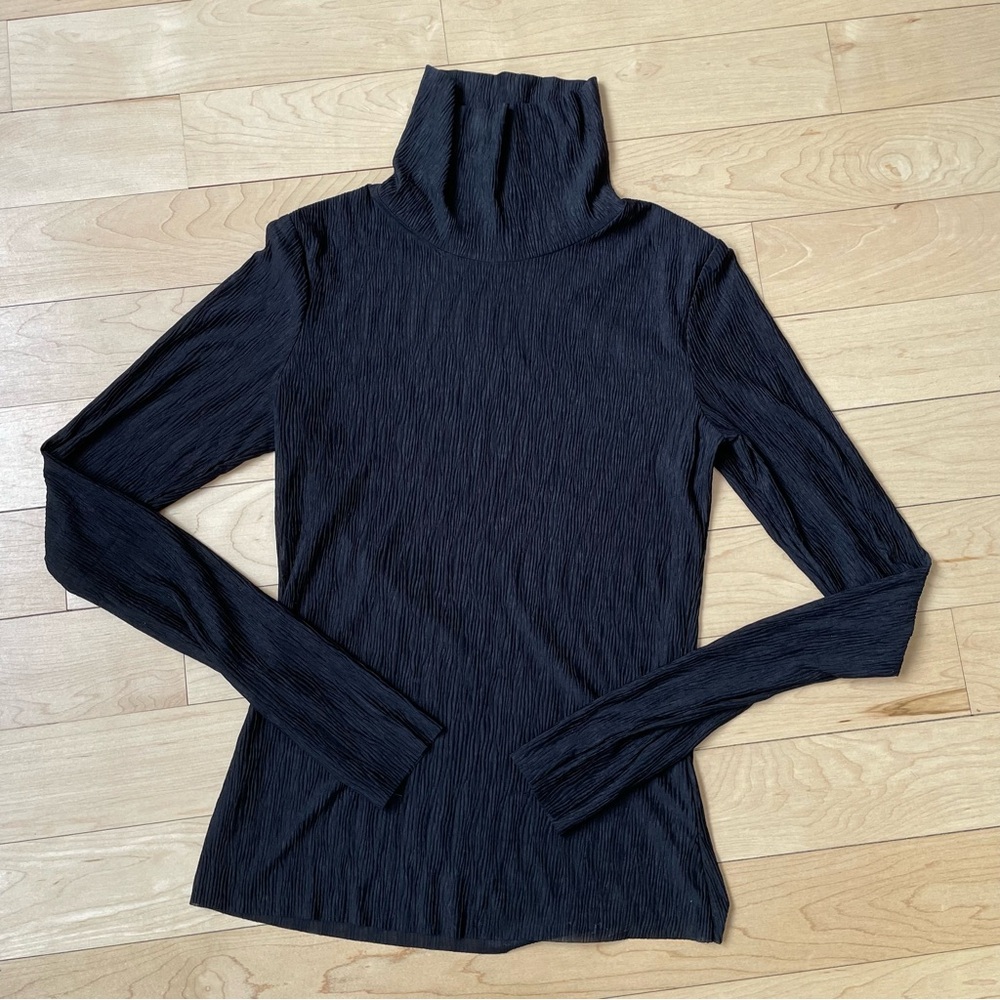 Black See-Through Turtleneck Long Sleeve Top